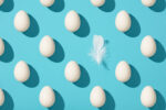 Pattern made of white eggs and bird feather on blue background. Minimal food Easter concept.